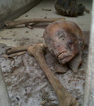 Saccage du musée du Caire. Une tête de momie arrachée, gît sur le sol.